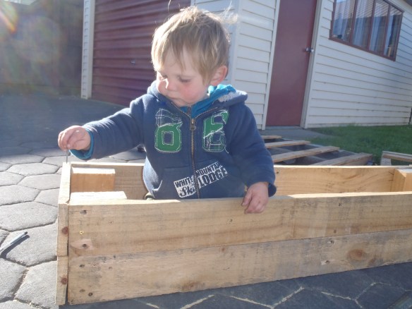 MILO BUILDS WINDOW BOX