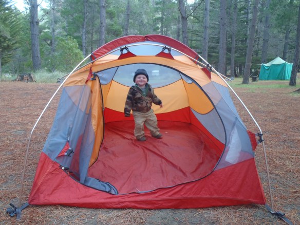 MILO TAKING TEND DOWN