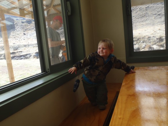 MILO WALKING ON HUT BENCH