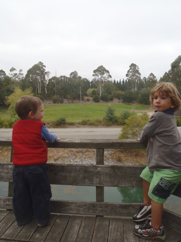 Jeremiah went hunting last weekend, so Milo and I met a friend at the Zoo, a "safari-style" walk through of mainly large African animals.  Tristan and Milo are looking at the giraffes from afar, but earlier we had been quite close to them.  With their wide heads atop long agile necks they reminded me of dinosaurs.  