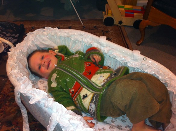 Milo was so anxious to try it out that we let him curl up in the top part just once.  It's really the silliest bit of frilly white laciness imaginable, but I'm ridiculously pleased with it.