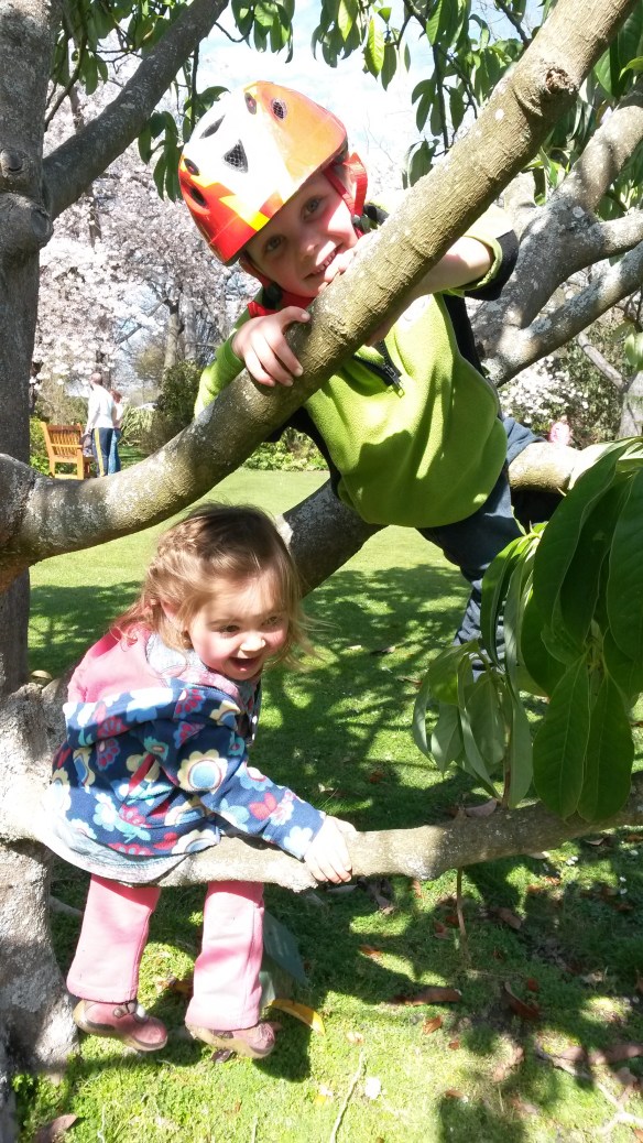 We zipped through the extensive daffodil plantings under the tall oaks and petted the furry ranunculus blossoms in the alpine garden before Milo announced the inevitable: "Mom, I'm hungry!"  Of course you are.  Never mind that breakfast was a scant hour ago.  The feeding doesn't seem to parse out into simple meals, but instead morphs into a continuous bonanza of cheese, grapes, peanutbutter-and-jelly, and banana.  You'd think they'd get tired of the old stand-bys, but they don't seem to.  After our food we wandered over to this climbable magnolia to put it through its paces.  