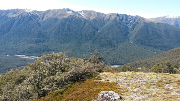 I chose my lunch spot carefully, rearranged my tattered hair, and settled down in the sun with a view.