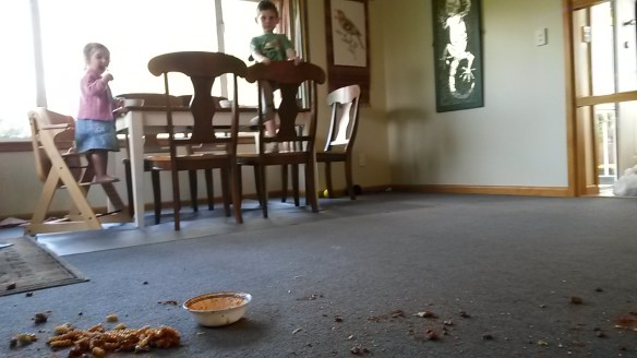 Gaaaasssppp. "Milo!" That was a full mommy-sized bowl of noodles and sauce that is splattered from one end of the room to the other. On carpet. Why anyone ever carpets a DINING ROOM I'll never comprehend. Milo had been in a very helpful mode this evening, even offering to carry Mom's food to the table. Half way there he decided it was too hot, and dropped it. He continued in his chipper mood after a cursory apology. "There's another splatter over there," he points. "You're nearly half way done cleaning up, Mom." Thanks buddy.