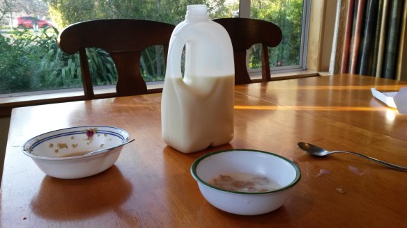 This breakfast scene may look run-of-the-mill, but it represents a mammoth leap forward in child rearing. They got this breakfast by themselves, while their parents were still cozily tucked in bed. Well, to be more precise, Milo prepared the oatmeal for himself (including pouring boiling water) and the cereal for his little sister. No milk was spilled, and though I can't guarantee how much brown sugar was consumed, I'm really not bothered. We got enough sleep. Woke up naturally. We felt great.