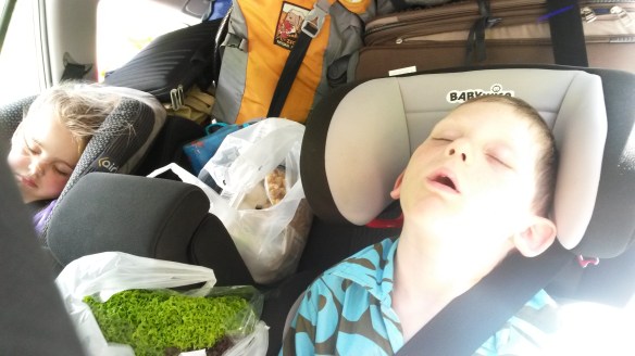 Two late nights and two early mornings set us up perfectly for sleepage during the second day of windy-road driving, and we arrived in Anakiwa rested and with all the stomach contents in place.  