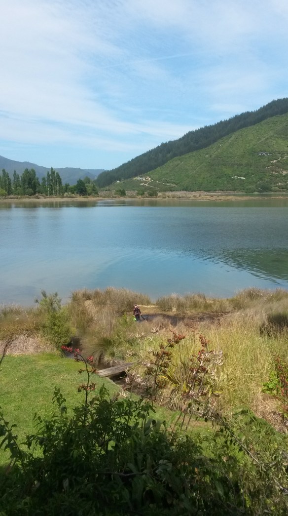 We're at the end of the sound, at the tidal flats (photo here is high tide). When it's calm we can take a kayak out and see the sting rays cruising the shallows, look for whatever it is that they eat, presumably. Creatures of some sort. They're super cool and also super creepy. 