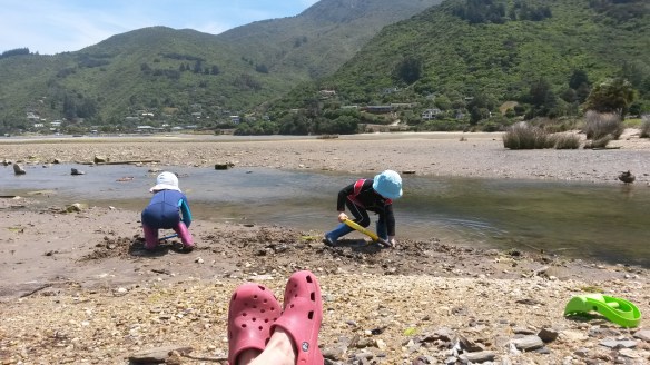 One afternoon the wind was whipping cruelly but the sun was shining, and I took the kids down to the beach in their wet suits to dig in the muck. Kids love muck. I sat in the lee of a rock and read a book. There's something to be said for being finished with the toddler stage. 