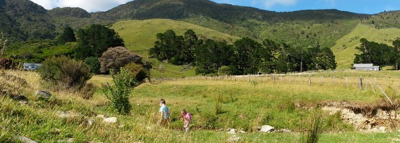 A fresh water creek made a good place to rinse the wet suits. Many mornings we awoke to sheep being moved to a new paddock by the farm dogs.