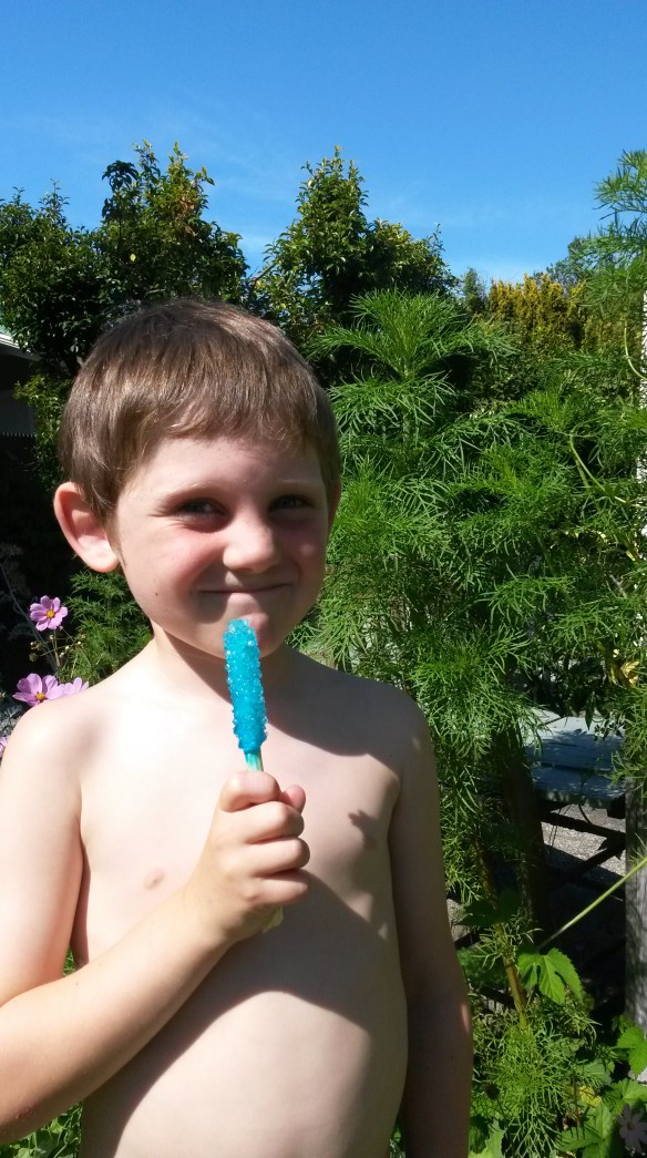 Milo has a neat little set of science experiment cards that we rediscovered recently, and the picture of sugar crystals looked like a winner to him.  Blue sugar crystals for Milo....