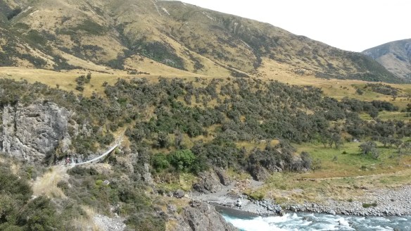 I like crossing rivers on bridges, and thankfully the two times the trail crossed the sizeable Waiau, there were beautiful swing bridges, complete with steep descents and accents on either side. 