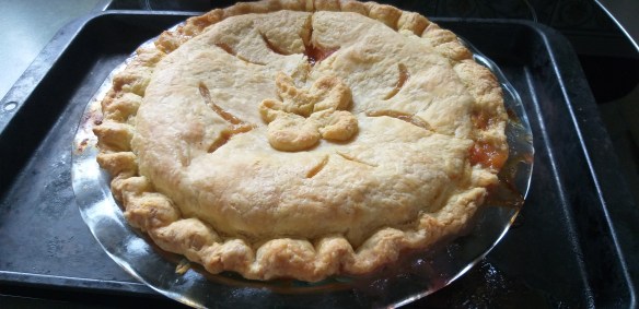 This image has an empty alt attribute; its file name is wp-1614409792365.jpg